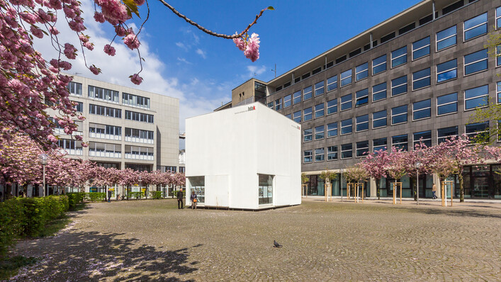 Kubus Haus der Architektur Köln, Josef-Haubrich-Hof, Kirschblüte