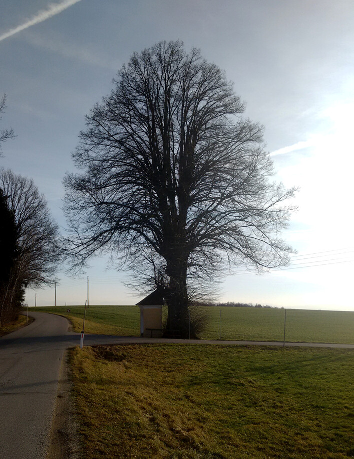Eschenau im Hausruckkreis