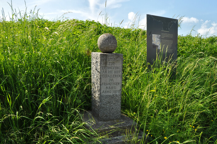 Franzosendenkmal in Leonding: In der Mitte des Bildes befindet sich ein rechteckiger Stein, auf dem eine Inschrift in einer fremden Sprache eingraviert ist. Der Stein steht in einem hohen, grünen Gras, das von Pflanzen und Kräutern umgeben ist. Hinter dem Stein ist eine schwarze Tafel aufgestellt, die weitere Informationen zu enthalten scheint.