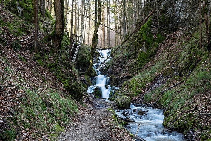 Großer Schleierfall am Zubringer des Thoreckgrabens nahe Hohenberg