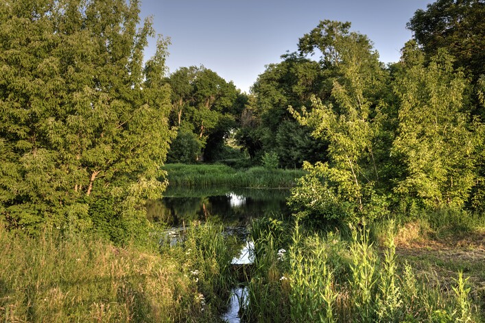 Schönkirchen-Reyersdorf
