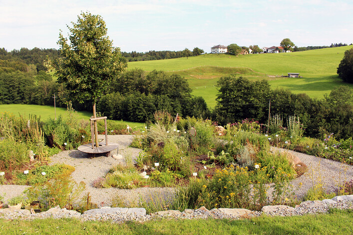 Kräuter- und Beerengarten im Obsterlebnisgarten Lohnsburg