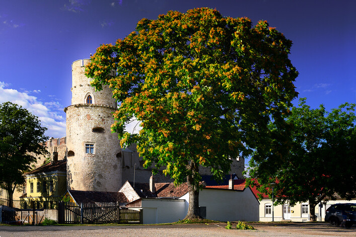 Burg Laa an der Thaya. This media shows the protected monument with ObjektID 130537 in Austria. (Commons, de, Wikidata)