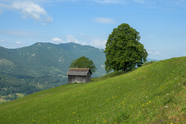 Steinbach am Ziehberg