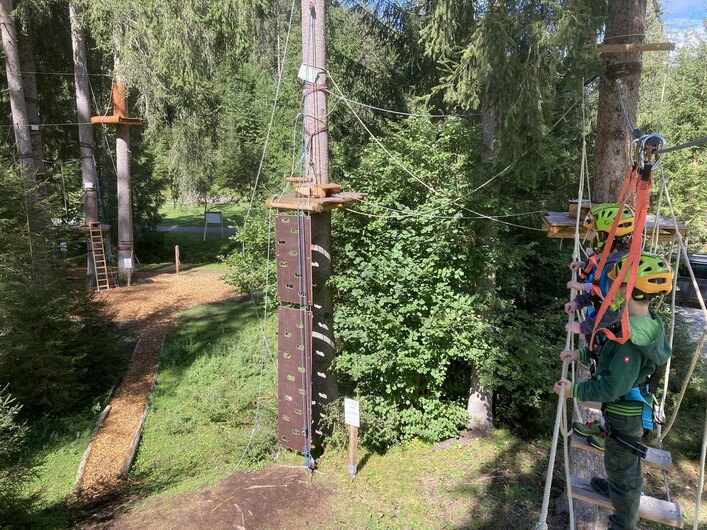 Kinder klettern im Hochseilgarten zwischen Bäumen auf den verschiedenen Stationen.