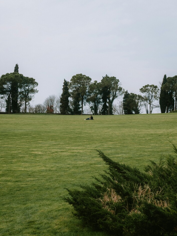 Green field with trees and a cloudy sky.