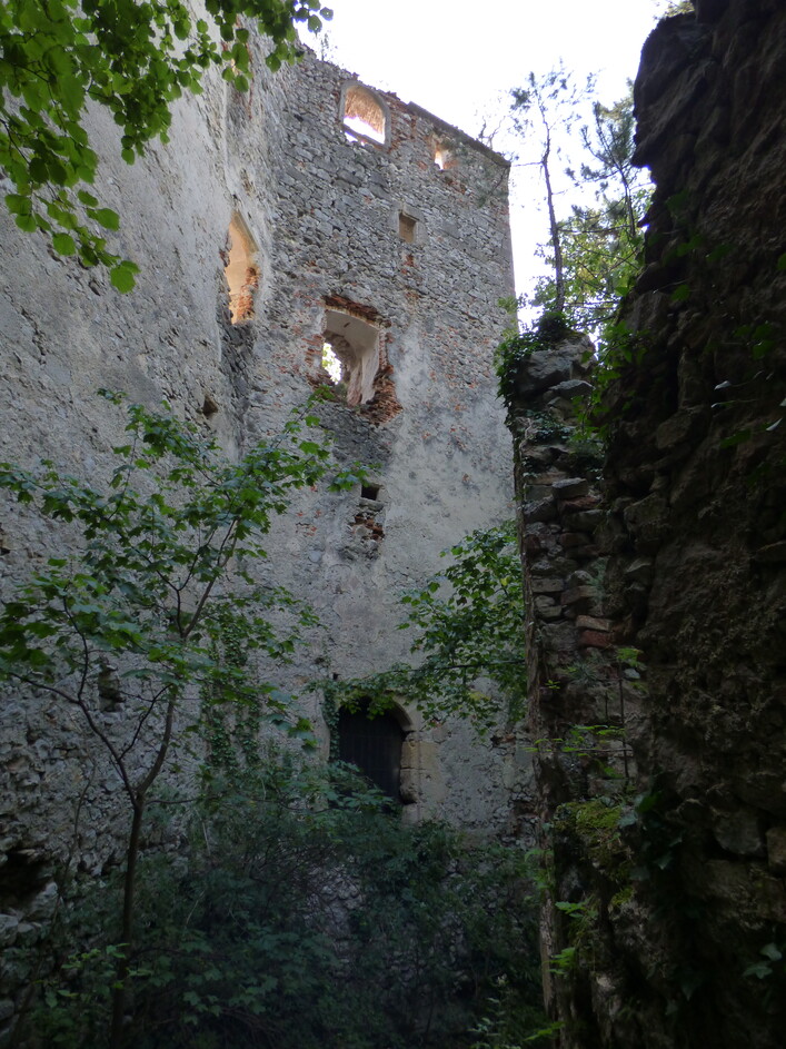 Burgruine Merkenstein (Gemeinde Bad Vöslau, Niederösterreich)