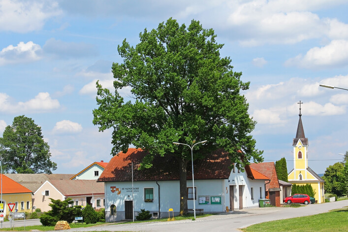 Waidhofen an der Thaya-Land