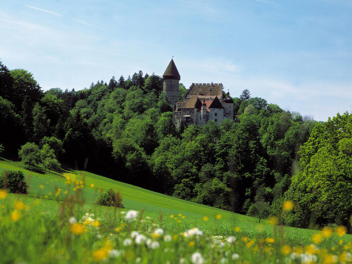 Burg Clam - Führung in Klam: Ein malerisches Schloss auf einem bewaldeten Hügel, umgeben von einer idyllischen Landschaft mit grünen Feldern und blühenden Blumen. Die historische Architektur des Gebäudes, mit Türmen und Zinnen, hebt sich deutlich von der umgebenden Natur ab. Insgesamt vermittelt die Szene einen ruhigen und romantischen Eindruck.
