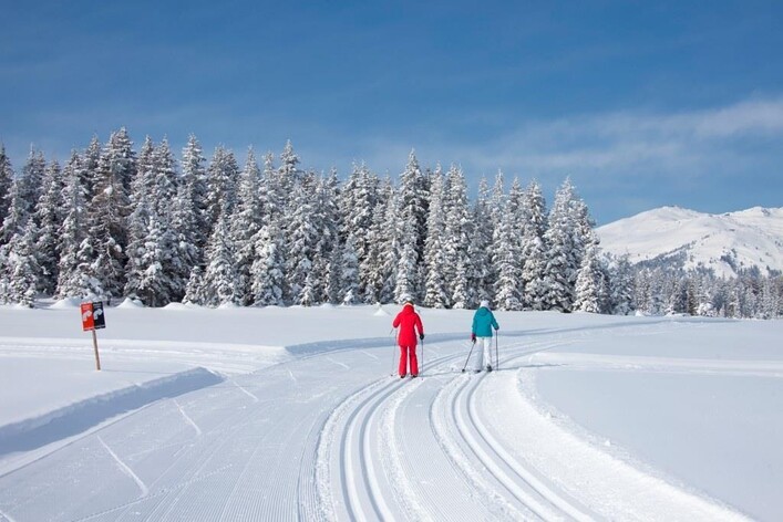 Zwei Skifahrer in bunten Anzügen fahren auf einer schneebedeckten Piste. Im Hintergrund sind schneebedeckte Bäume und Berge sichtbar.