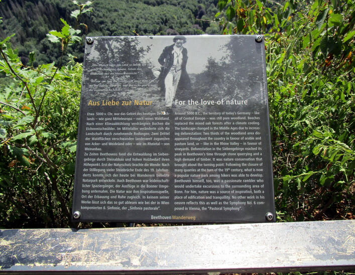 Informationstafel des „Beethoven-Wanderwegs“ (Teil des 2019 eröffneten „Beethoven-Wanderwegs“) auf dem Geisberg im Siebengebirge, Stadtgebiet Bad Honnef; darauf abgebildet das Gemälde Beethoven beim Spaziergang in der Natur von Julius Schmid