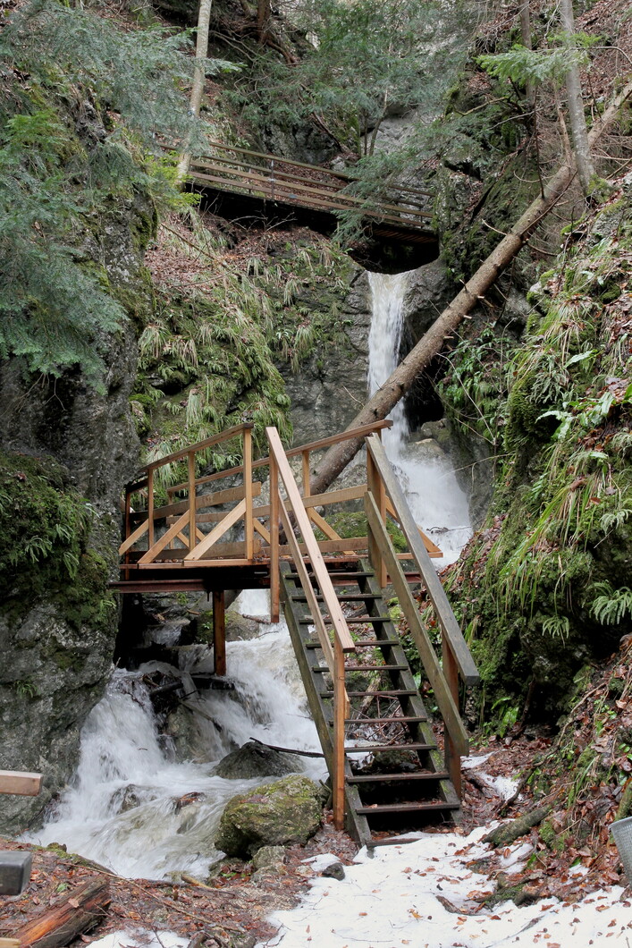 This media shows the natural monument in Lower Austria  with the ID WB-026.