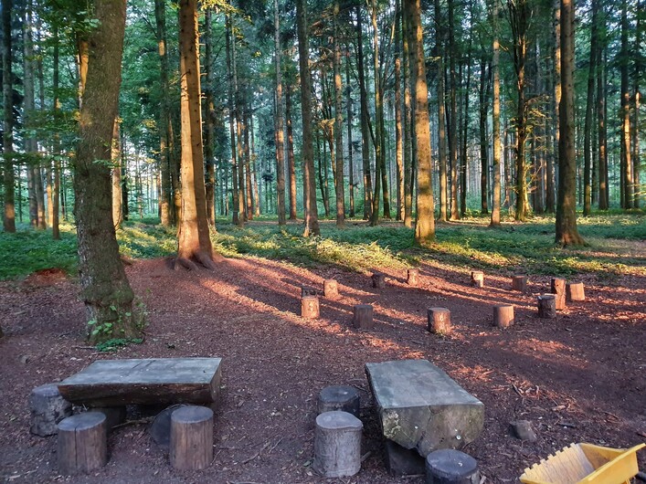 Naturlehrpfad Hofau in Mattighofen: Ein grüner, waldiger Bereich mit hohen Bäumen und einer Sitzgruppe aus Holzbänken und Tischen am Boden. Der Waldboden ist mit Laub und Zweigen bedeckt, und es scheint ein friedlicher und natürlicher Ort zu sein.