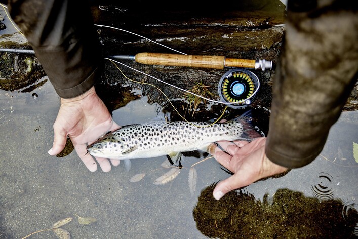 Schwimmen und entspannen am Badesee Hollersbach