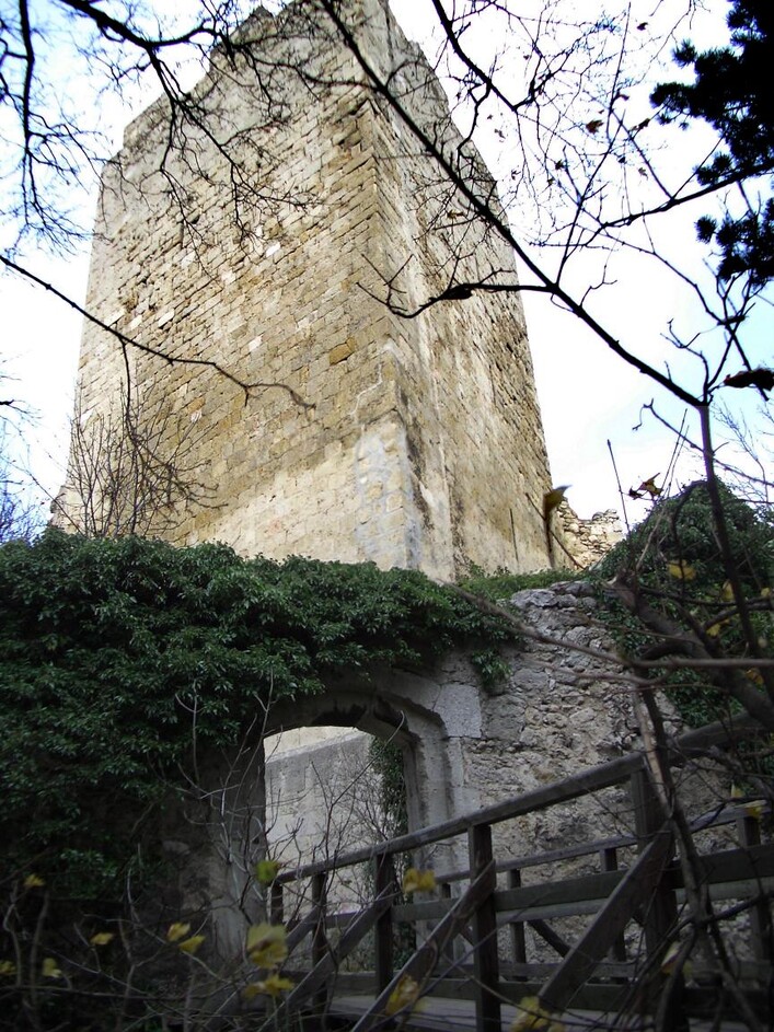 Baden - Ruine Rauheneck




 

This media shows the protected monument with ObjektID 77278 in Austria. (Commons, de, Wikidata)