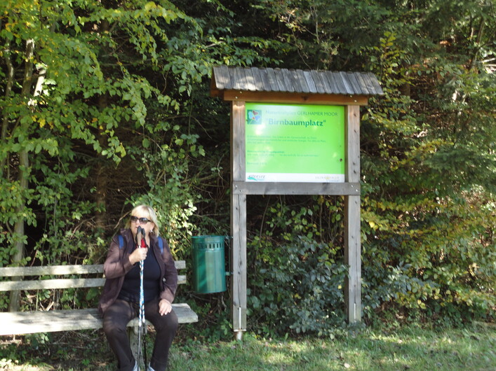 Glücksplatz - "Birnbaumplatz" in Seewalchen am Attersee: Das Bild zeigt einen Informationsständer in einem Waldgebiet. Eine Person, die einen Wanderstab und eine Jacke trägt, steht davor. Der Ständer enthält ein Schild mit grünem Hintergrund und einer Aufschrift in einer anderen Sprache.