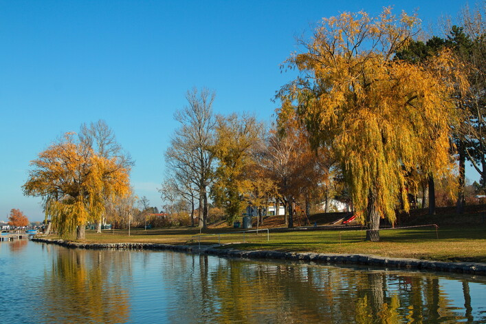 Neufeld an der Leitha