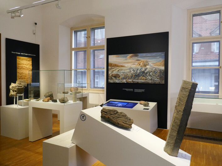 Universalmuseum Joanneum_Naturkundemuseum