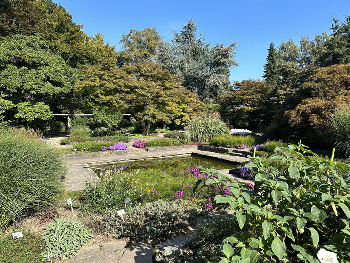 Bereich Senkgarten im Botanischen Garten Linz
