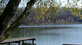 Der idyllische Höllerersee mit Badesteg und Bäumen