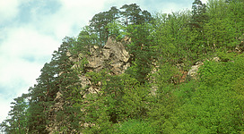 Natura 2000 Gebiet "FFH-Gebiet Oberes Donau- und Aschachtal" in Engelhartszell: Eine bergige Landschaft mit dichtem Wald und hohen Felsen. Die Vegetation ist üppig und grün, mit vielen Bäumen und Büschen. Die Oberfläche des Geländes ist uneben und felsig, mit einigen steilen Erhebungen. Der Himmel ist bewölkt, was der Szene eine ruhige und friedliche Atmosphäre verleiht.