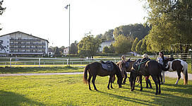 Reitzentrum Hausruckhof in Ampflwang im Hausruckwald: Eine Gruppe von Reitern mit Pferden auf einer grünen Wiese. Im Hintergrund sind Gebäude und Bäume zu sehen.