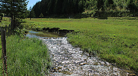 Einen Ausflug zum Angeln am Mixnitzbach machen