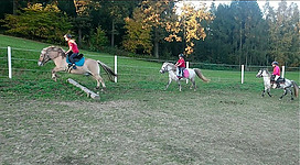 Galoppy Kids - Reiten für Kinder in Eberstalzell: Das Bild zeigt eine Gruppe von Menschen, die auf Pferden in einer ländlichen Umgebung reiten. Die Reiter tragen bunte Jacken und scheinen den Ausritt zu genießen. Auf der Wiese sind mehrere Pferde zu sehen, die von den Reitern gesteuert werden.