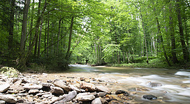 Wandern in der Klause Deutschlandsberg
