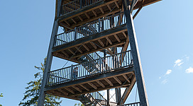 Vogelturm Pflach (Tirol)