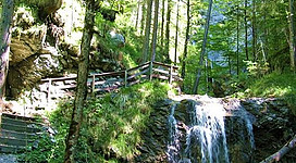 Ein malerischer Wald mit einem sanft fließenden Wasserfall. Holzstege führen durch die grüne Umgebung und bieten einen schönen Ausblick.