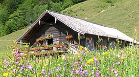 Eine gemütliche Hütte, umgeben von bunten Wildblumen. Im Hintergrund sieht man sanfte Hügel und grünes Laub.