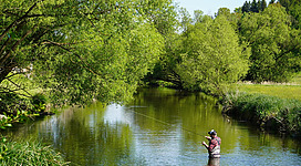 Fliegenfischen in der Großen Mühl in Aigen-Schlägl im Mühlviertel.
