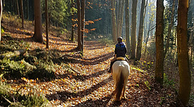 M4Hochland_Trailritt