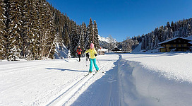 Eine verschneite Winterlandschaft mit Skifahrern auf einer Loipe. Umgeben von hohen Tannen und einem klaren blauen Himmel.