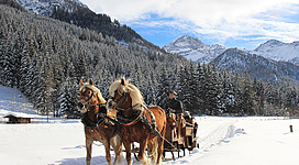Eine Pferdeschlittenfahrt am Viehhofbauer erleben