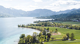 Bild zeigt Naturschutzgebiet Aufhamer Uferwald in Attersee am Attersee.