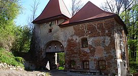 Burg Frauenstein Mining - Torturm This media shows the protected monument with ObjektID 37140 in Austria. (Commons, de, Wikidata)