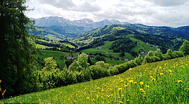 ins Aurachtal gschaut Naturpark