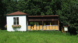 Imkerei Josef Gottfried in Roßbach: Eine kleine, weiße Holzhütte steht inmitten einer üppigen, grünen Landschaft. Davor befindet sich eine überdachte Terrasse, auf der mehrere Bienenkästen aufgestellt sind. Die Terrasse und die Hütte wirken idyllisch und lassen auf eine Imkerei oder ein kleines Landgut schließen.