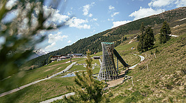 Den Erlebnisweg Zirbenpark erkunden