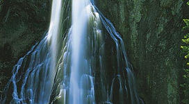 Ein malerischer Wasserfall fließt über grüne Felsen in einen klaren Teich. Umgeben von üppigem Grün strahlt die Szene Ruhe und Schönheit aus.