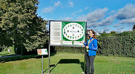 Bad Kreuzner Baumkreis in Bad Kreuzen: Eine Frau in blauer Jacke steht vor einer großen Informationstafel, die verschiedene Arten von Bäumen zeigt. Die Tafel ist grün und beinhaltet eine Grafik mit stilisierten Baumdarstellungen. Die Umgebung wirkt ländlich, mit grünen Bäumen und Sträuchern im Hintergrund.