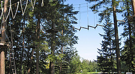 Ein Hochseilgarten in einem Wald mit schmalen Holzstegen und Seilen zwischen den Bäumen. Im Hintergrund sind grünes Laub und ein klarer blauer Himmel zu sehen.
