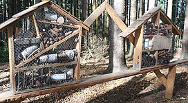 Zwei Holzhäuschen im Wald, gefüllt mit verschiedenen Materialien und Ästen. Die Struktur ist rustikal und passt gut in die Umgebung.