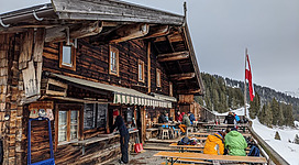 Rodeln auf der Trattenbachalm