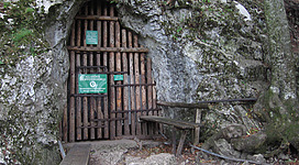 de:Tropfsteinhöhle Alland