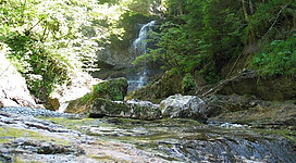 Ein wunderschöner Wasserfall, umgeben von üppigem Grün und Felsen. Das Wasser fließt sanft über die Steine in einem ruhigen Bach.