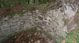 Ruine Königstein in Freinberg: Ein steiniger, moosbedeckter Waldweg führt durch einen dichten, grünen Wald. Die Steinmauern an den Seiten des Weges sind teilweise eingestürzt und überwuchert von Vegetation. Es wirkt wie ein ruhiger, abgelegener Ort inmitten der Natur.