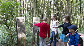 Eine Gruppe von Kindern erkundet einen Wald und betrachtet informative Schilder. Die Atmosphäre ist entspannt und lehrreich inmitten der Natur.